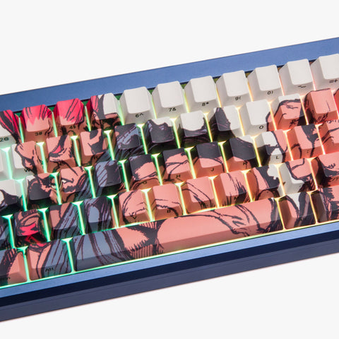 SF x HG Summit 65 - Akuma (Blue Gi)